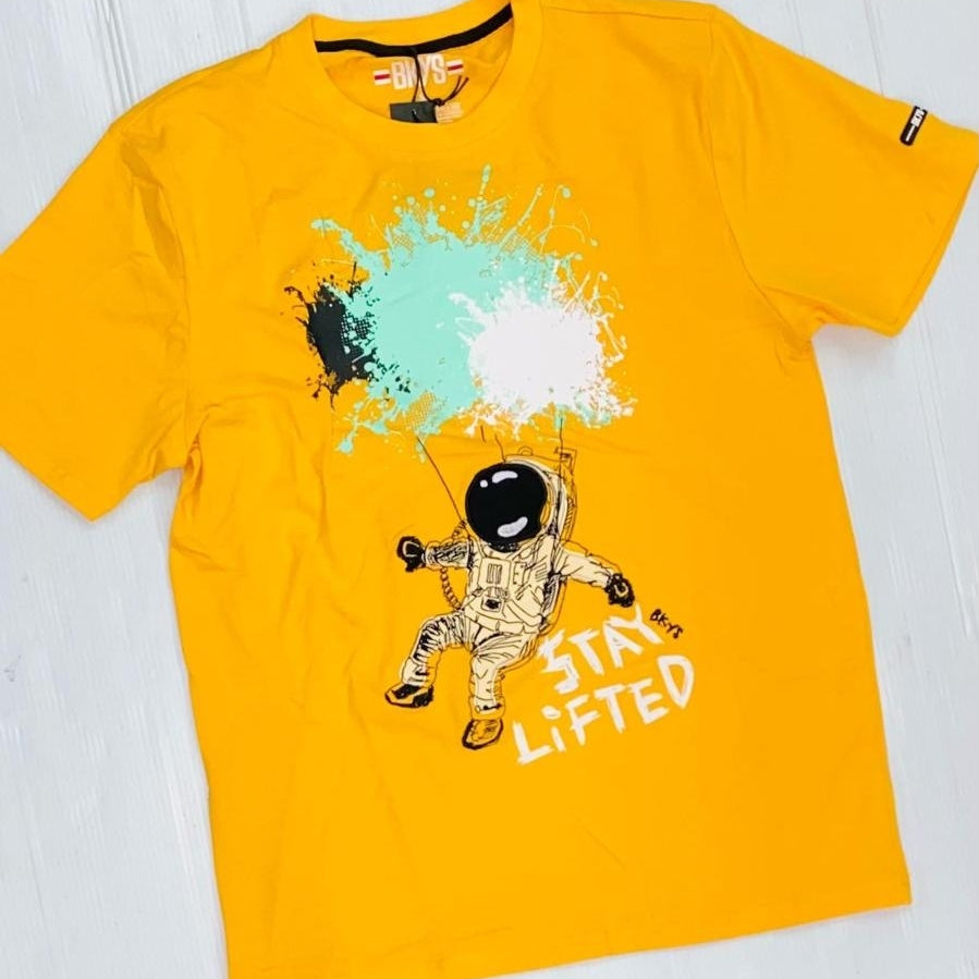 T shirt